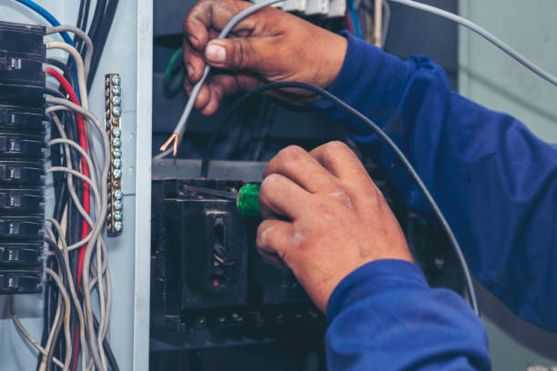 Best Local Electrician Companies  in Ozona, TX